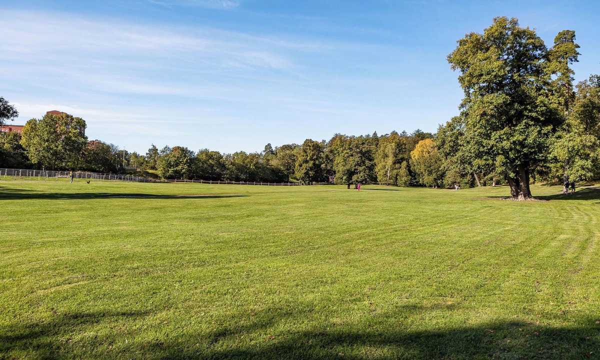 Albano House | Lakefront Getaway in Hagaparken Central Stockholm