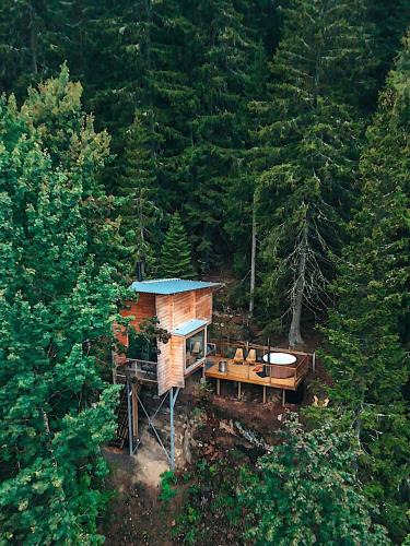 Tangen Villa | LAUV Tretopphytter