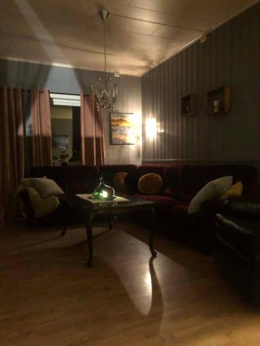Asnes Municipality Apartment | Leilighet i Damstien