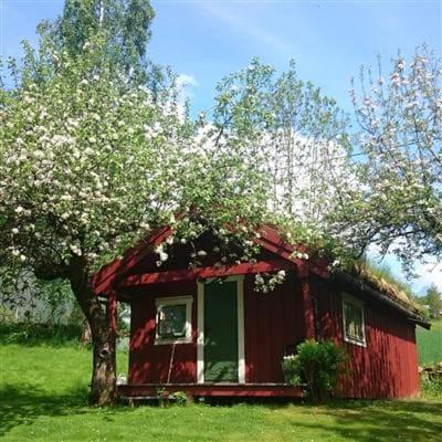 Innfjorden Apartment | Lensmansgarden Vårsetra
