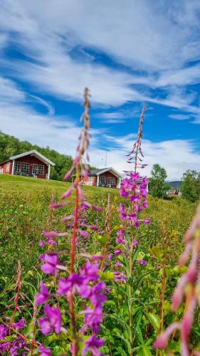 Finnmark Cabin | Levajok Lodge