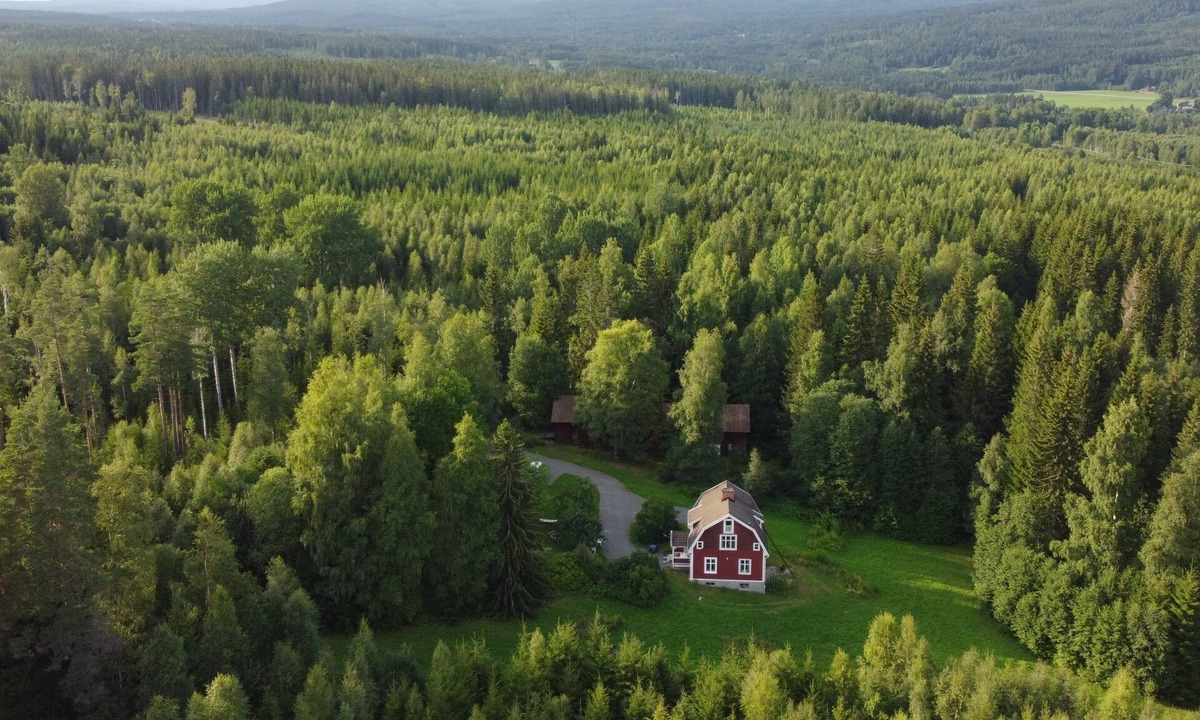Nedre Tappen Cabin | Lilla Villa - small wooden house in the Swedish forest