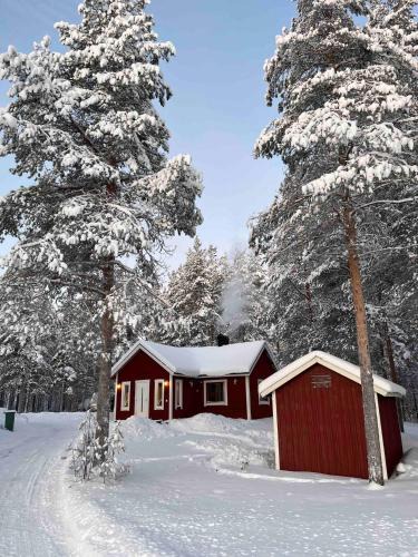 Pajala House | Little Home