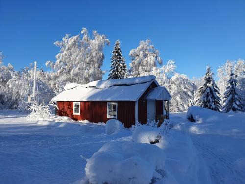 Bispgarden House | Lodge Lagom - Luxury guesthouse