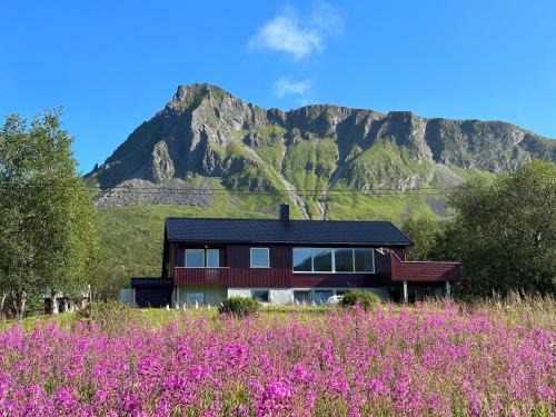 Austvagoy Villa | Lofoten Red Villa