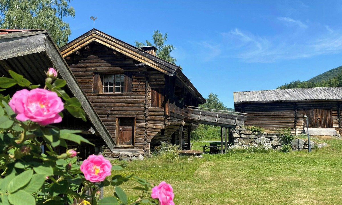 Nore og Uvdal Apartment | Log cottage with sauna on historic family farm