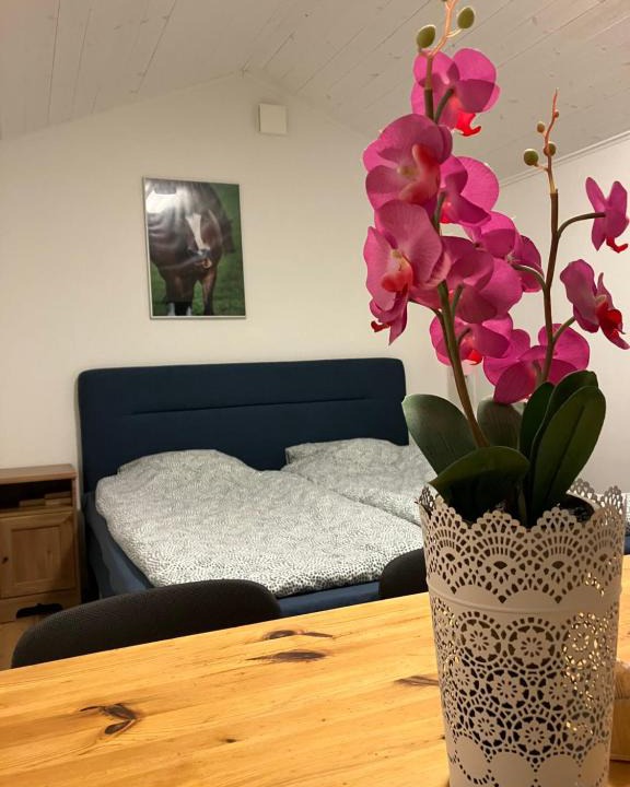 Tyringe Hotel | Low budget bungalows