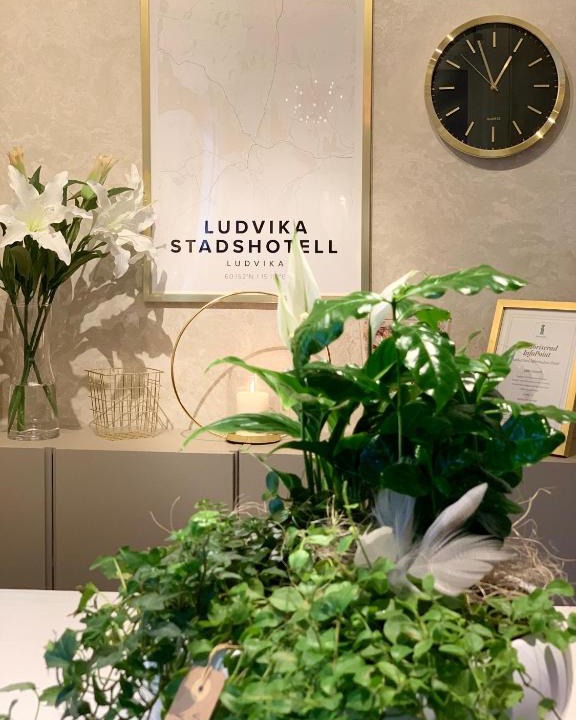 Hogberget-Centrum Hotel | Ludvika Stadshotell