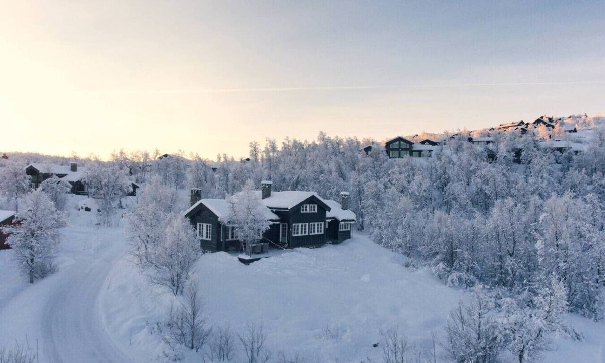 Hol Municipality Cabin | Lun og koselig hytte på fjellet, med badstu