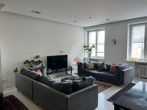 Kallio Apartment | Luxurious 85m2 Hakaniemi, Helsinki Center, Apartment Next to Metro