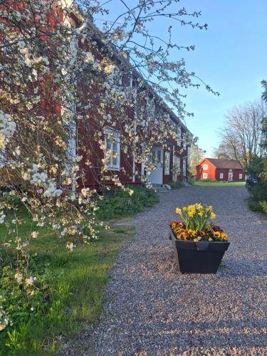 Vasastaden-Eldslosa Hostel | Mjölby Vandrarhem