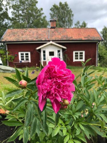 Moklinta House | Mormors stuga har charmigt torrdass och utedusch i trädgården
