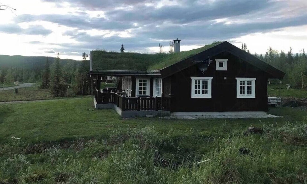 Nord-Torpa House | Mountain cabin with cinema near Synnfjellporten