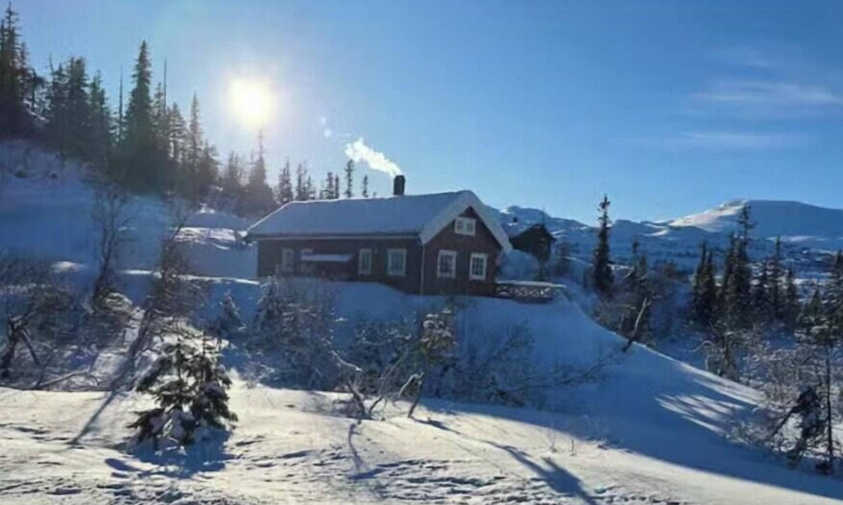 Fla Municipality House | Mountain cabin with ski access in Høgevarde