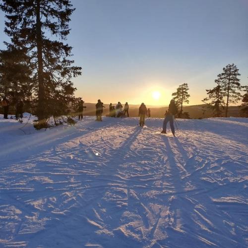 Borlange Cabin | Myntloftet med inglasad bubbelbad