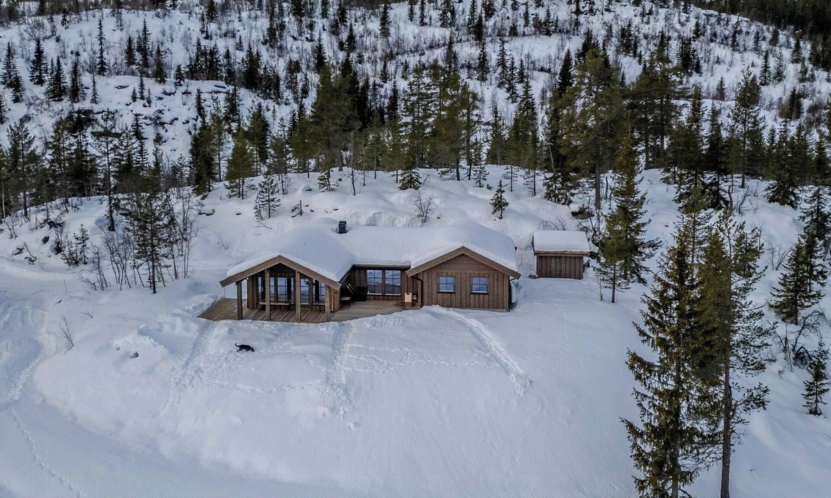 Sigdal Municipality House | Nature-close cabin by the water