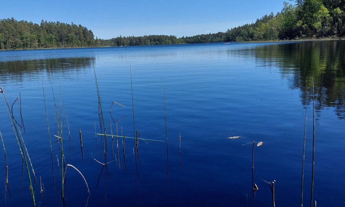 Lenhovda House | New house by the lake - comfortable and beautiful, with wallbox & no hidden costs.