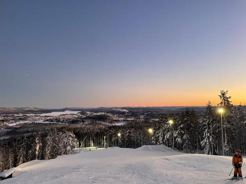 Bollnas House | Nice ski in ski out cabin