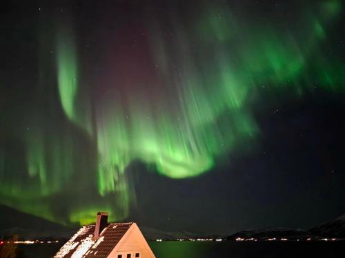Tromso House | Nordic Sauna Retreat
