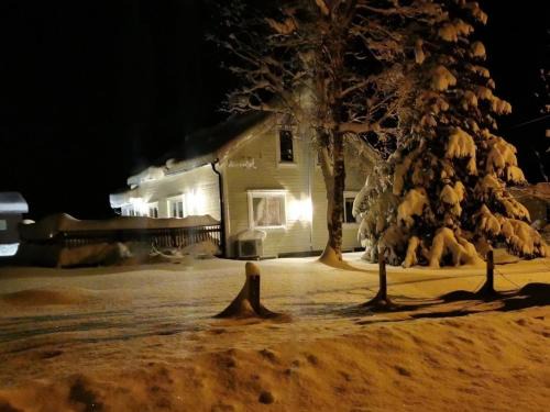 Botnhamn House | Northern Lights Escape Cozy Cabin