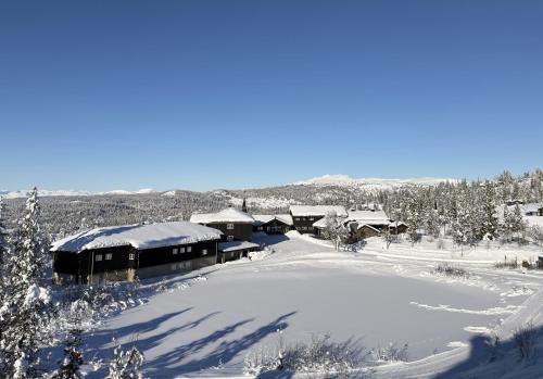 Nord-Aurdal House | Nydelig utsikt, ski in out, 3 soverom