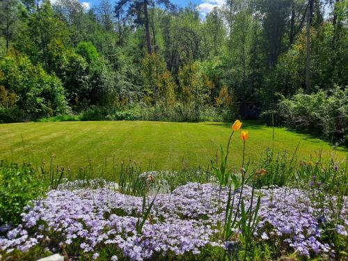 Hagfors House | Okidoki huset med wellness