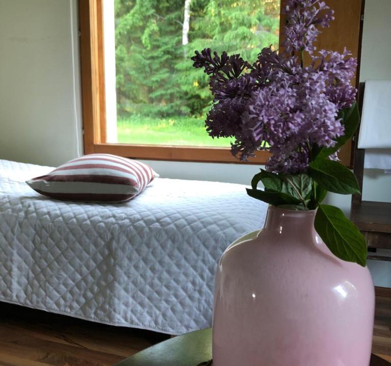 Viitasaari Apartment | Pakola