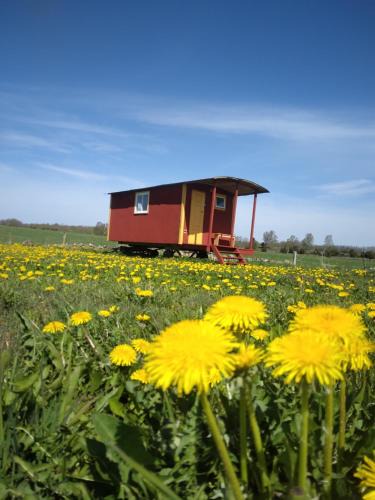 Horby Bed & Breakfast | Röda Vagnen Nostalgi och natur i unik cirkusvagn