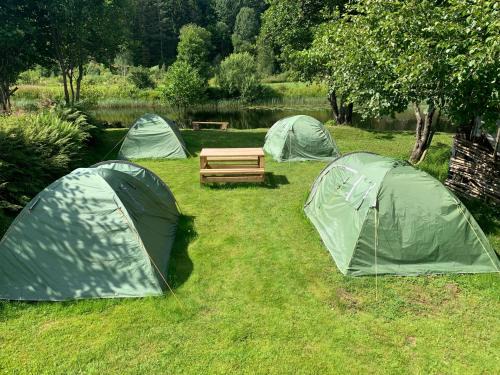 Vegarshei Other | Riverside Bliss Idyllic Camp, 3 Man Tent Incl, near Tvedestrand and Arendal