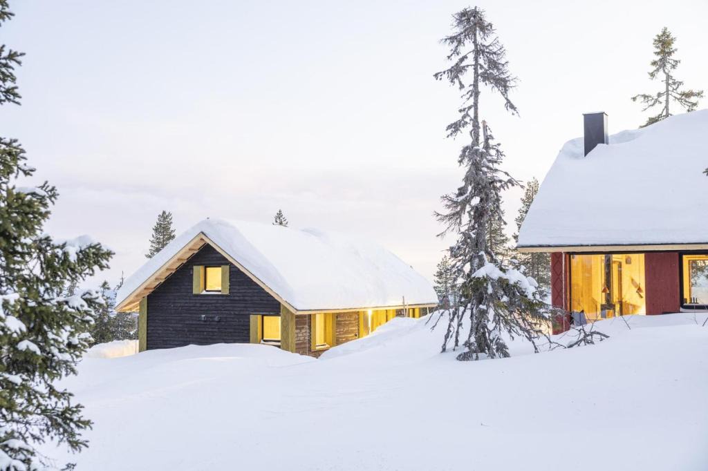 Loten Municipality House | Rogna · Nordlys & Ski · Bærekraftig · 60 min OSL
