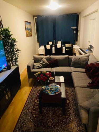 Bekkestua Apartment | Room in 2 bedroom apartment