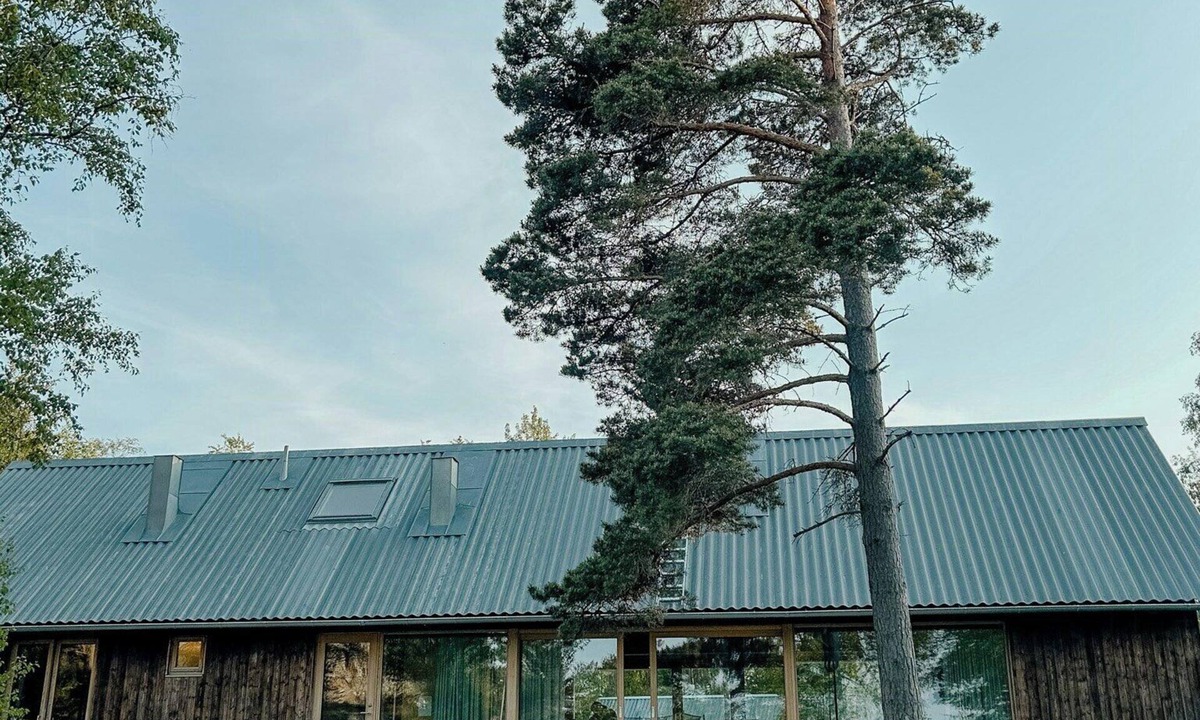 Vaddo House | Roslagen: Nature meets Modern Design