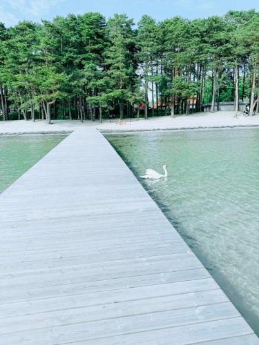 Hallevik Apartment | RYMLIG RENOVERAD GÄSTBOSTAD med egen ingång nära stranden i HÄLLEVIK