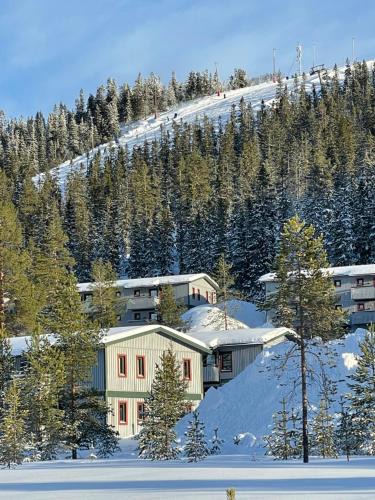 Stoten Apartment | SÄLEN, Ski in-Ski out, Lägenhet 8F Grå Byn