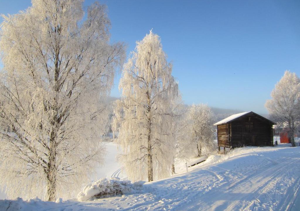 Lima Bed & Breakfast | Sörnäsgården Bed & Breakfast