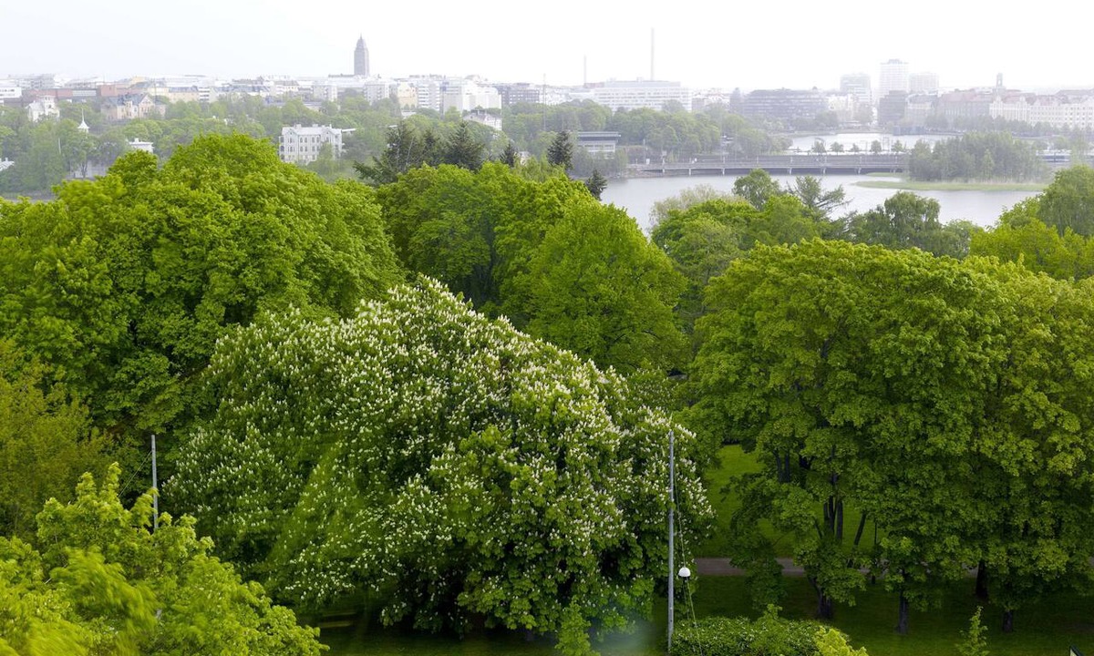 Toolo Hotel | Scandic Park Helsinki