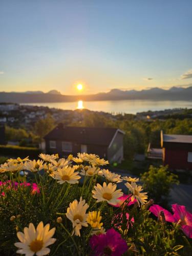 Narvik Apartment | Sea-view apartment