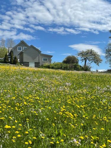 Glomset House | Secluded Holiday Home, With private beach