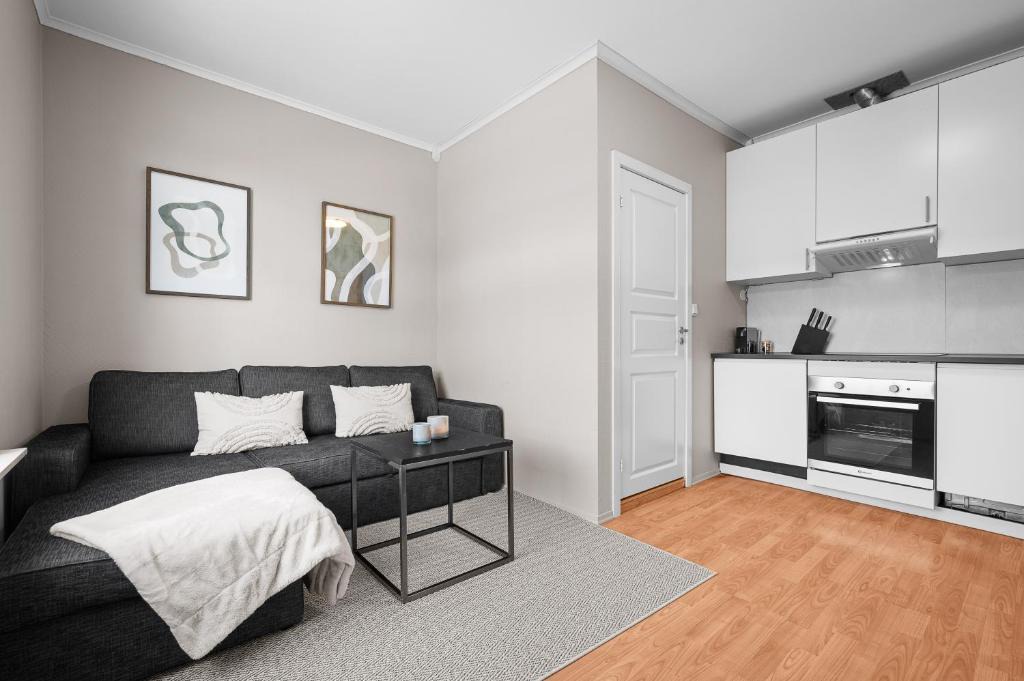 Porsgrunn Apartment | Sentral 1BR i Porsgrunn - P Apartments