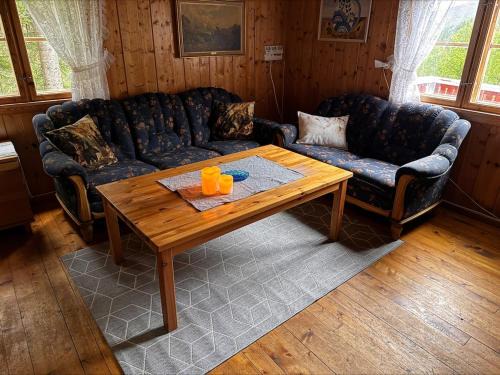 Nore og Uvdal Apartment | Simple and cozy forest cabin