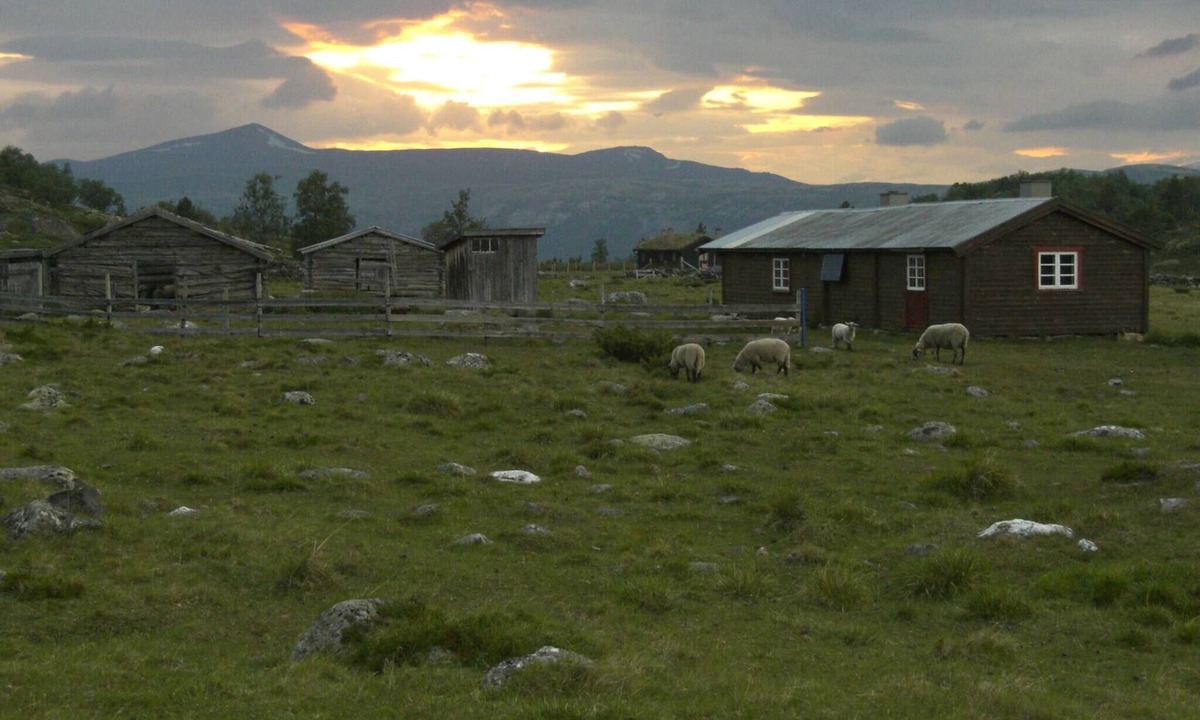 Lesja House | Sits in the middle of Reinheimen and Dovrefjell Rondane