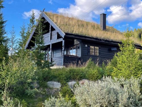 yer Ski Chalet | Ski and Bike-In and Out