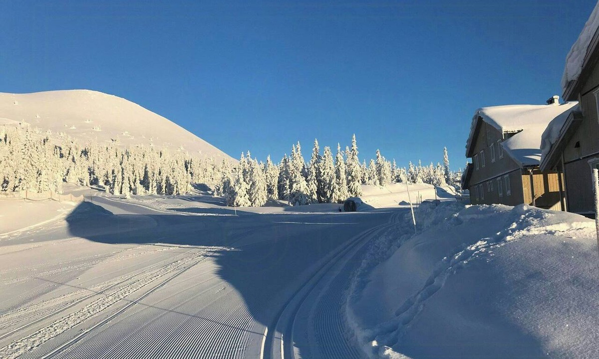 Trysil Apartment | Ski-in/ski-out in Trysil Mountain Lodge