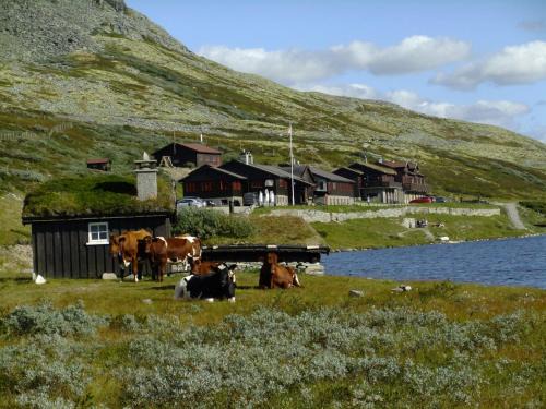 Sel Hotel | Smuksjøseter Fjellstue, Rondane Mountainlodge