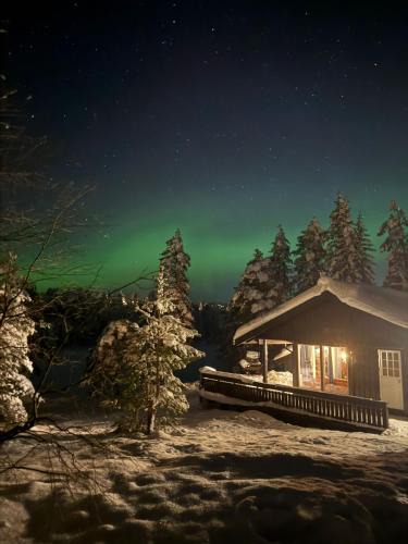 Lardal Municipality House | Solhytta Fantastisk beliggenhet! Hytte til leie på Skrim!