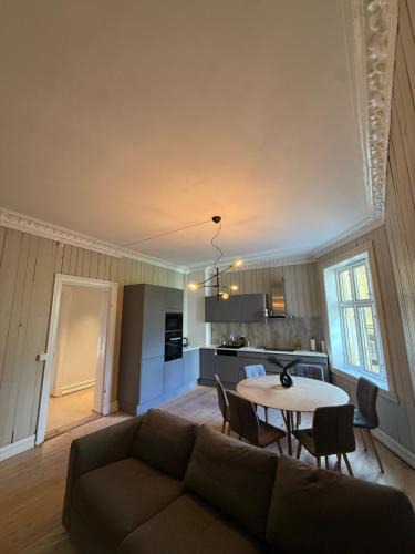Oslo City Centre Apartment | Stor leilighet ved Slottsparken