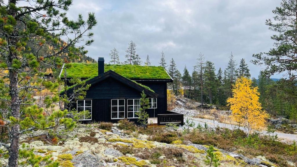 Hjartdal Municipality House | Storekleiv Hyttefelt Tuddal
