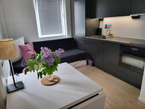 Edsberg Apartment | Studio Sleeps 2 Sollentuna centre