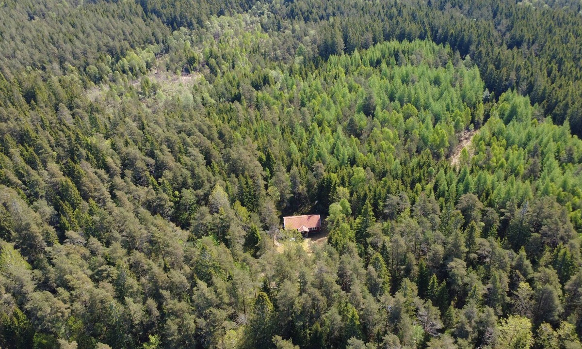 Annerstad House | Stuga Rödhak – Cozy Swedish Cottage in Secluded Forest Location in Småland