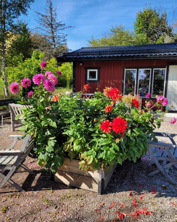 Falun House | StugaFalun